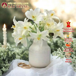 Bình cắm hoa cổ bóp