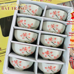 Bộ Bát Ăn Cơm 10 Cái