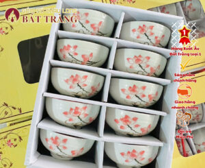 Bộ Bát Ăn Cơm 10 Cái