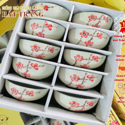 Bộ Bát Ăn Cơm 10 Cái